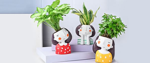 Eco Friendly Gifts