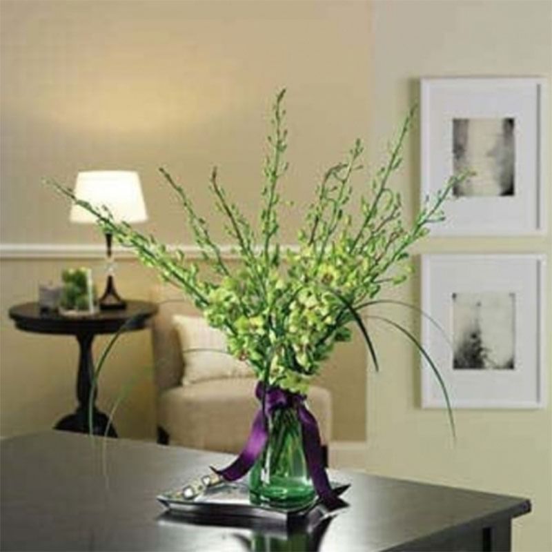 Green Orchids In A Vase