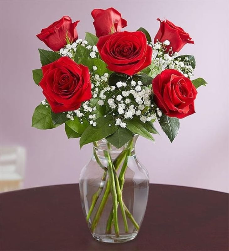 The Rose Love